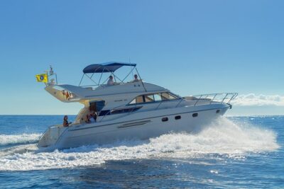 Private Boat Tour on Royal Ocean Yacht, Tenerife - Marina South wildlife watch: where whales and dolphins fit into your timeline