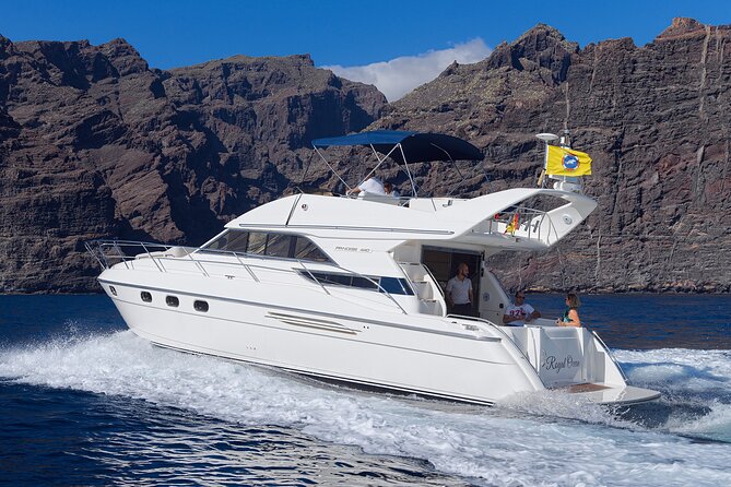 Private Boat Tour on Royal Ocean Yacht, Tenerife - Wildlife spotting chances: how to set expectations without killing the fun