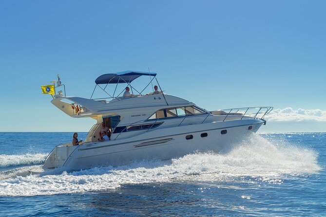 Private Boat Tour on Royal Ocean Yacht, Tenerife - Marina South wildlife watch: where whales and dolphins fit into your timeline