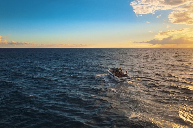 private charter 3 Hours Whale Encounter puerto colon adeje - How the 3-hour timing actually works (and why it matters)