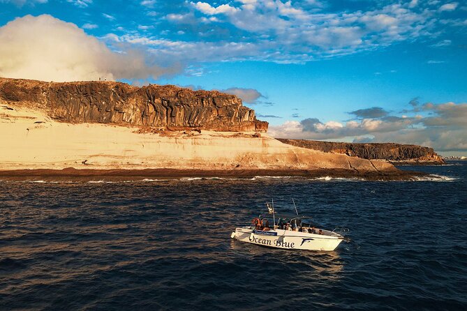 private charter 3 Hours Whale Encounter puerto colon adeje - Captain Chris and the first mate approach: friendly, attentive, and family-ready