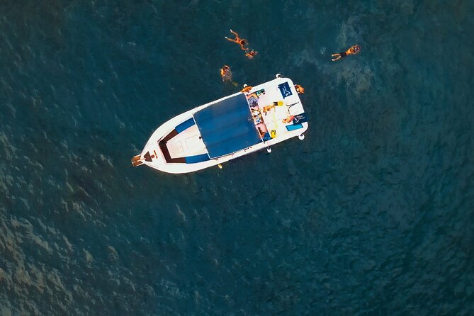 private charter 3 Hours Whale Encounter puerto colon adeje - Turtle Bay swim and snorkeling: the water break that makes it feel different