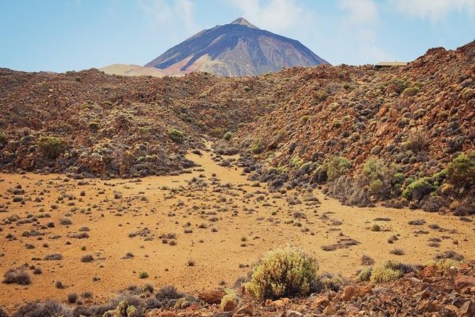 Private excursions for cruise-ship passengers - Cruise-Day Convenience at Teide National Park