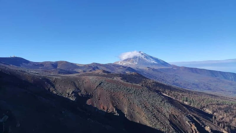 Private excursions for cruise-ship passengers - Should You Book This Private Teide Excursion?