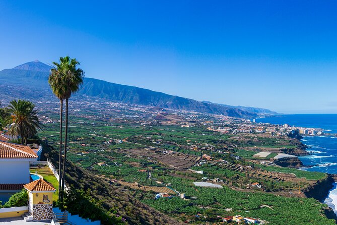 Private nature and culture tour of Teide and northern Tenerife - Teide and northern Tenerife in one day: why this order makes sense