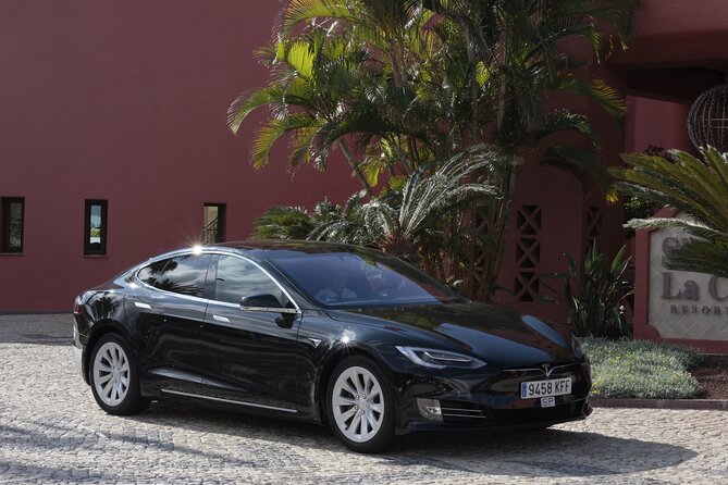 Private South Tenerife Airport Transfer to South Hotels - Key Highlights You Should Know