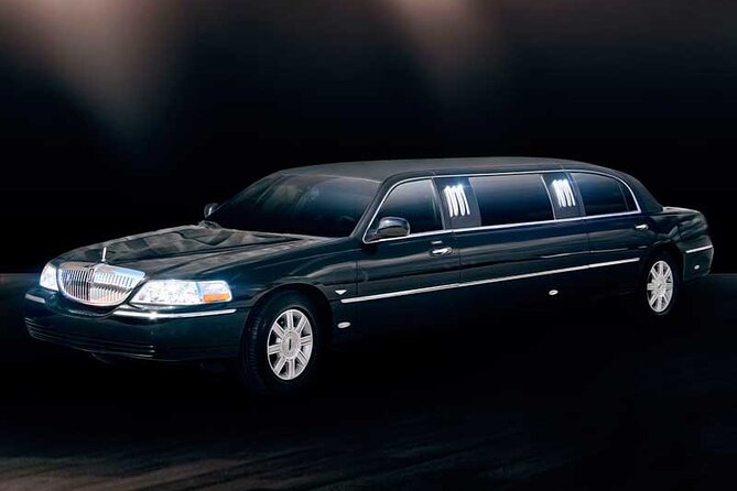 Private South Tenerife Airport Transfer to South Hotels - Private Meet-and-Greet in South Tenerife: What It Actually Feels Like