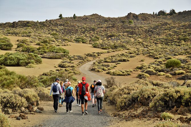 PRIVATE TOUR Teide National Park: Hiking and Stargazing - A 3:00 pm plan for Teide sunset and star watching