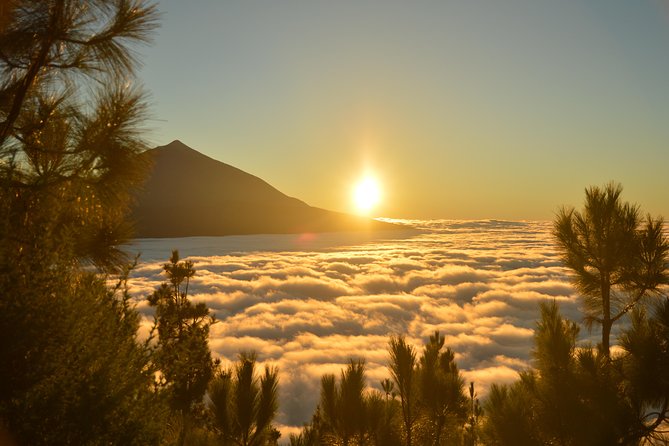 PRIVATE TOUR Teide National Park: Hiking and Stargazing - Wine, snacks, and the rhythm of a sunset-focused walk