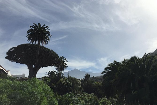 Private VIP Tour Tenerife Magic Circle - Why this VIP Tenerife loop is a smart first move