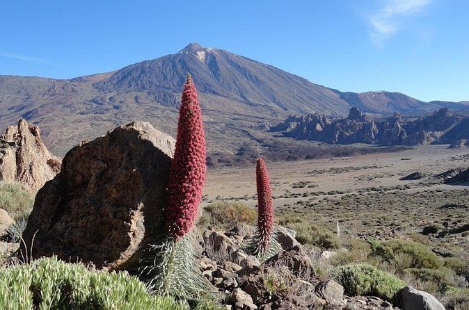 Private VIP Tour Tenerife Magic Circle - Masca Valley and Garachico: two villages, two tempos