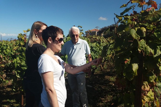 Private Wine Tasting Tour - Sekt, traditional food, and the kind of conversation you can follow