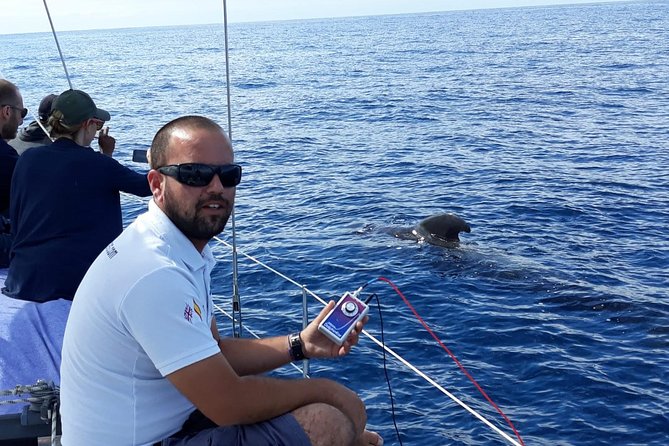 Private Yacht Tour With Whale and Dolphin Watching 33 Foot Boat - Whale and Dolphin Listening With Sonar (and What to Expect)