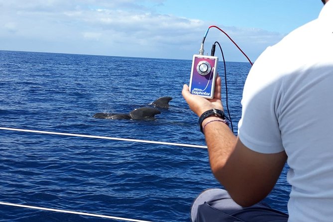 Private Yacht Tour With Whale and Dolphin Watching 33 Foot Boat - Food and Drinks: Easy Included Extras That Add Up