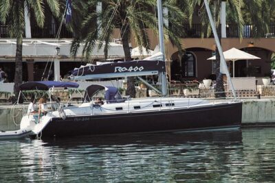 Private Yacht Tour With Whale and Dolphin Watching 42 Foot Boat - The open-bar cruise rhythm: champagne, snacks, and a planned swim break