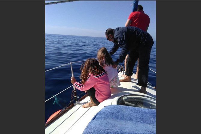 Private Yacht Tour With Whale and Dolphin Watching 42 Foot Boat - Price and value for up to 11 people