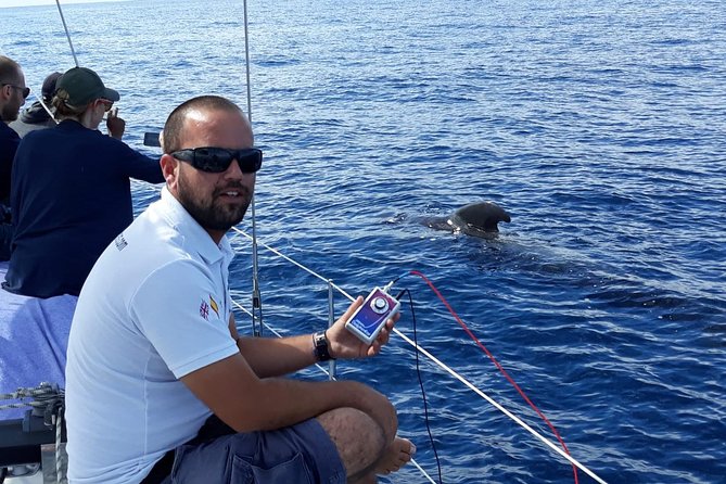 Private Yacht Tour With Whale and Dolphin Watching 42 Foot Boat - Who this yacht tour fits best