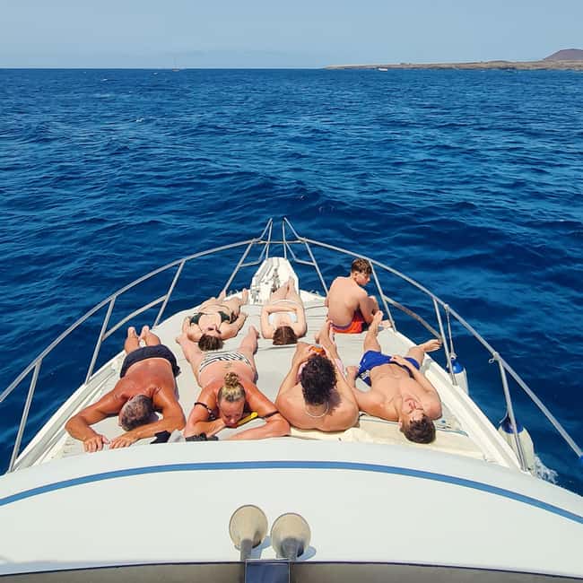 Private Yatch Amalfi Cinco - Cruise and cetacean watching: how the Tenerife route stays fun