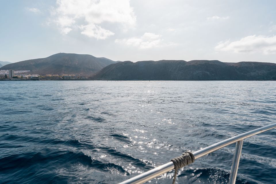 Puerto Colón: Coastal Boat Cruise with Swimming and Snacks - Costa Adeje at Sea: Dolphin Watching, Marine Life, and Real Time Cruising