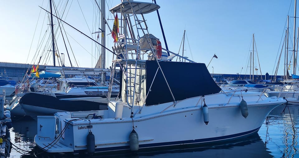Puerto Colón: Coastal Boat Cruise with Swimming and Snacks - Dolphins, Whales, and Why Weather Changes Everything