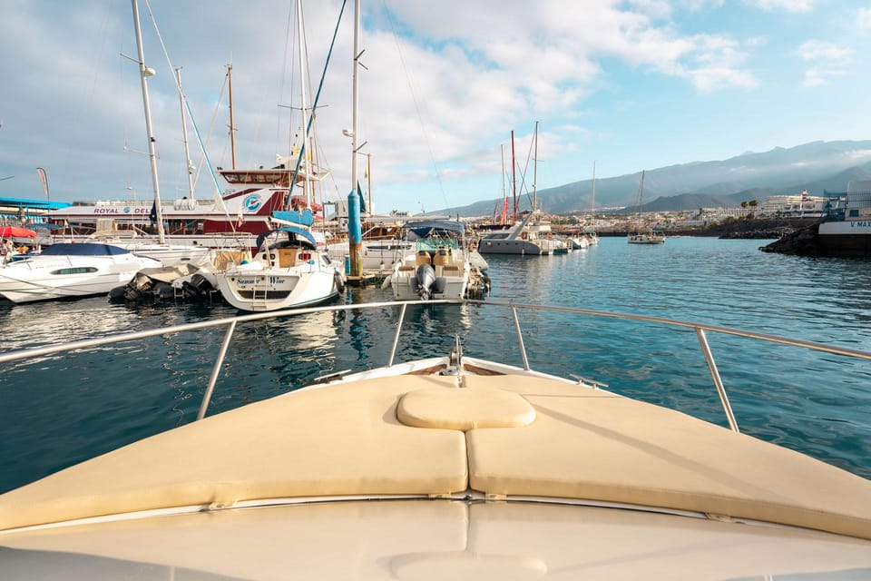 Puerto Colón: Coastal Boat Cruise with Swimming and Snacks - Dock 5 Check-In and the 10-Minute Safety Brief You Actually Appreciate