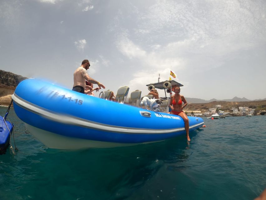 Puerto Colon: Dolphin and Whale Watching Speedboat Cruise - Key things I’d watch for on this cruise