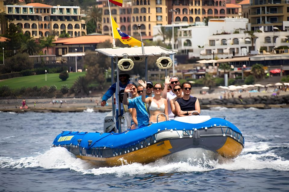 Puerto Colon: Dolphin and Whale Watching Speedboat Cruise - Puerto Colón Speedboat: Why the 3 Hours Feels Just Right