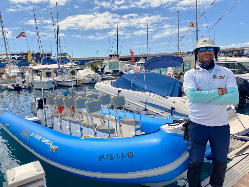 Puerto Colon: Dolphin and Whale Watching Speedboat Cruise - South Tenerife from the Water: Cliffs, Ports, Beaches, and Those Iceland-of-Atlantic Views