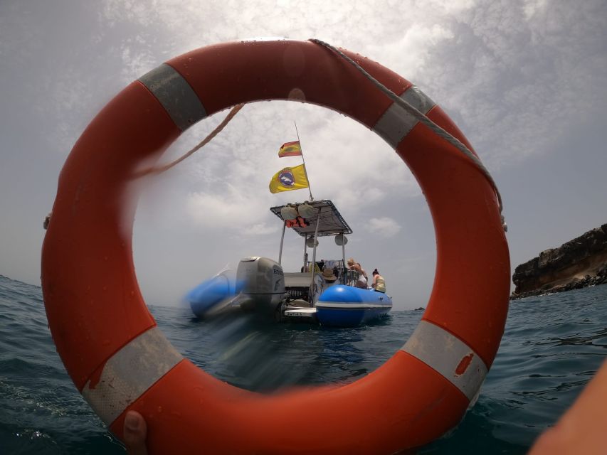 Puerto Colon: Dolphin and Whale Watching Speedboat Cruise - Who This Tour Suits Best (and Who Might Want a Different Day)