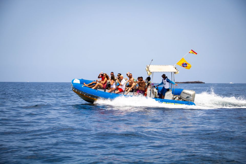 Puerto Colon: Dolphin and Whale Watching Speedboat Cruise - Should You Book Puerto Colón Dolphin and Whale Watching?