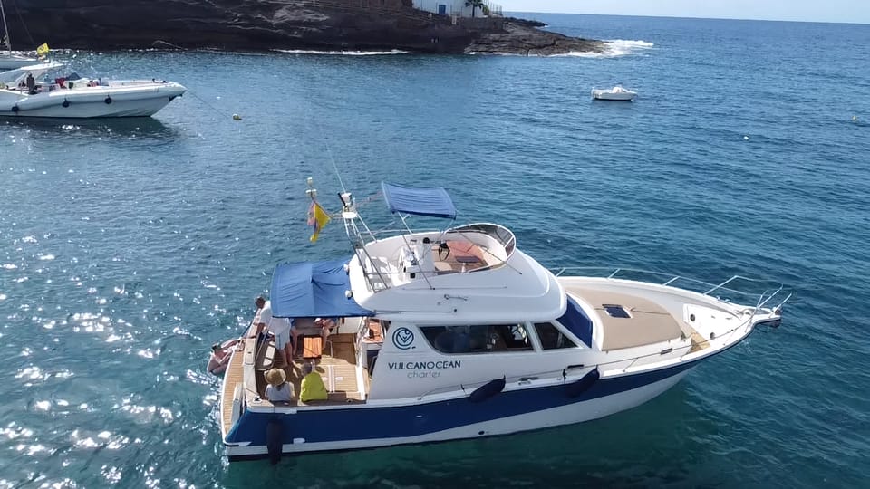 Puerto Colon : Shared/private boat trip with snack & Drinks - The Snorkel Stop Off Tenerife: What to Expect and How to Prep