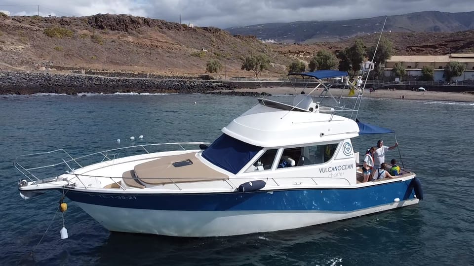 Puerto Colon : Shared/private boat trip with snack & Drinks - Costa Adeje Wildlife Time: Whale and Dolphin Spotting That Doesn’t Feel Reckless