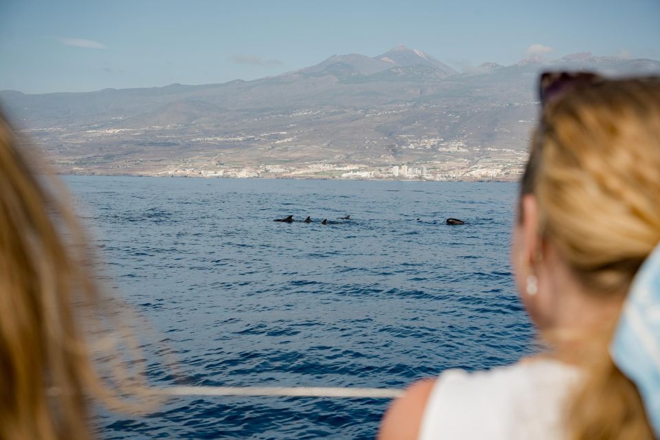 Puerto Colon: Whale and Dolphin Watching Yacht Trip - Puerto Colón’s 3-Hour Boat Trip Is the Right Length