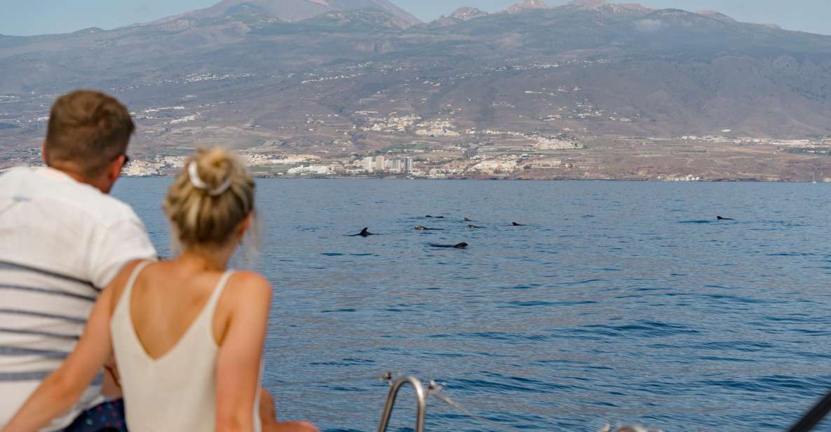 Puerto Colon: Whale and Dolphin Watching Yacht Trip - Pilot Whales and Dolphins Near Costa Adeje: What This Day Is Built For