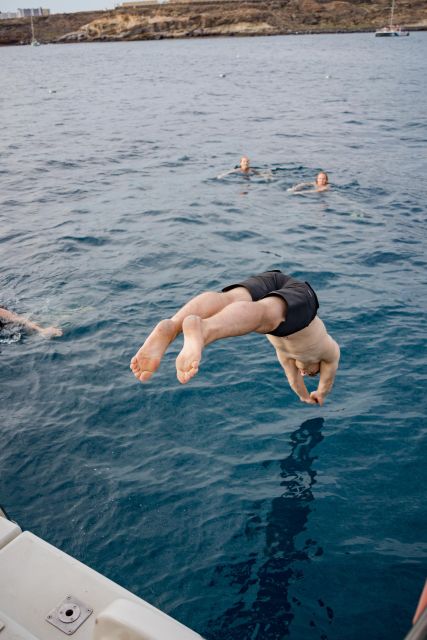 Puerto Colon: Whale and Dolphin Watching Yacht Trip - The Best Part After Wildlife: The Secluded Cove Swim