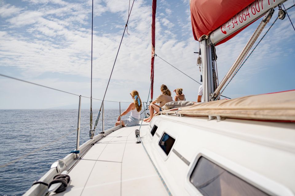Puerto Colon: Whale and Dolphin Watching Yacht Trip - How the Southern Tenerife Views Fit Into the Experience