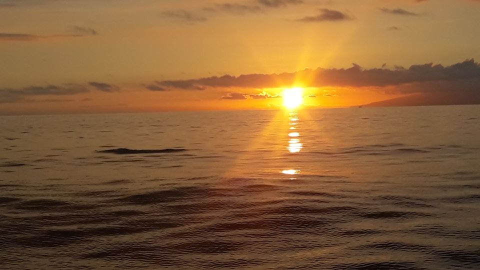 Puerto Colon: Whale-Watching Sailing Tour with Meal & a Swim - Puerto Colón Sailing: What Makes This Tour Fun (and Practical)