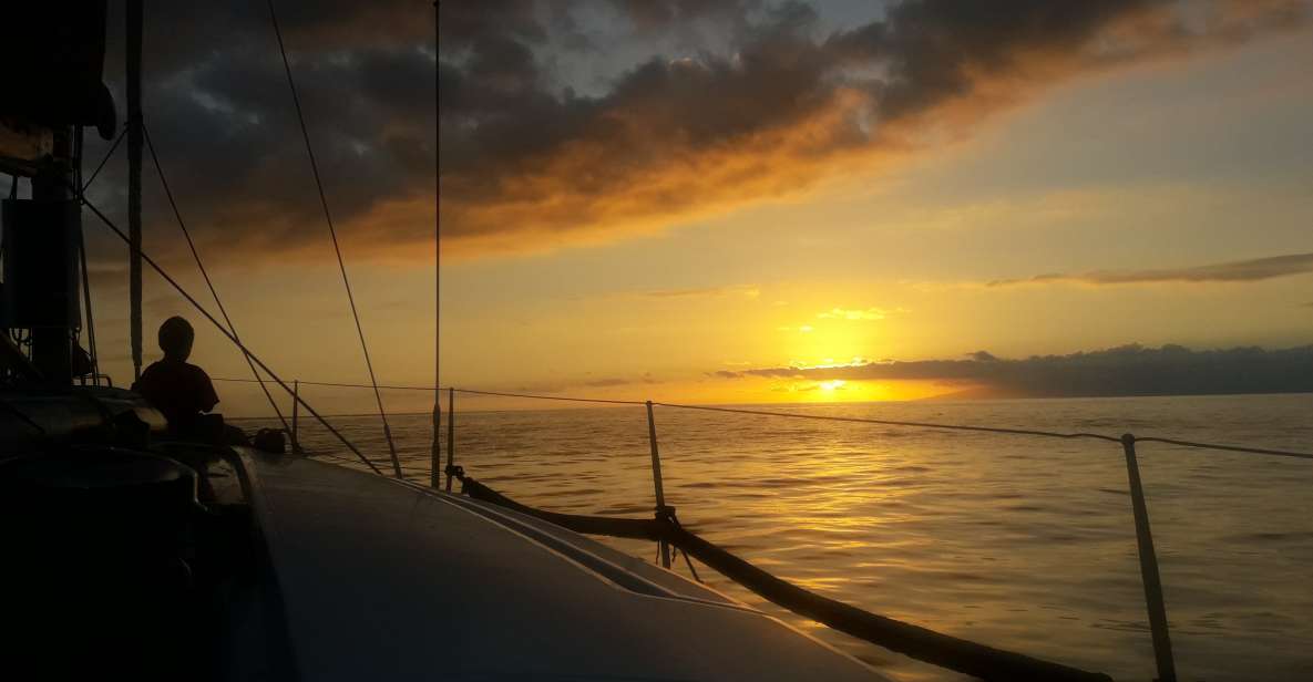 Puerto Colon: Whale-Watching Sailing Tour with Meal & a Swim - Leaving Port: Sailing for Dolphins and Whales in Open Water