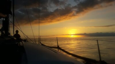 Puerto Colon: Whale-Watching Sailing Tour with Meal & a Swim - Meeting at Pantalan 1 and Finding Mola Mola 2