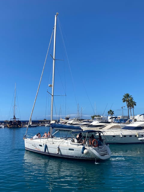 Puerto Colon: Whale-Watching Sailing Tour with Meal & a Swim - Smart Planning Tips Before You Go