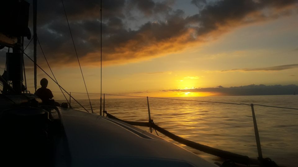 Puerto Colon: Whale-Watching Sailing Tour with Meal & a Swim - Meeting at Pantalan 1 and Finding Mola Mola 2