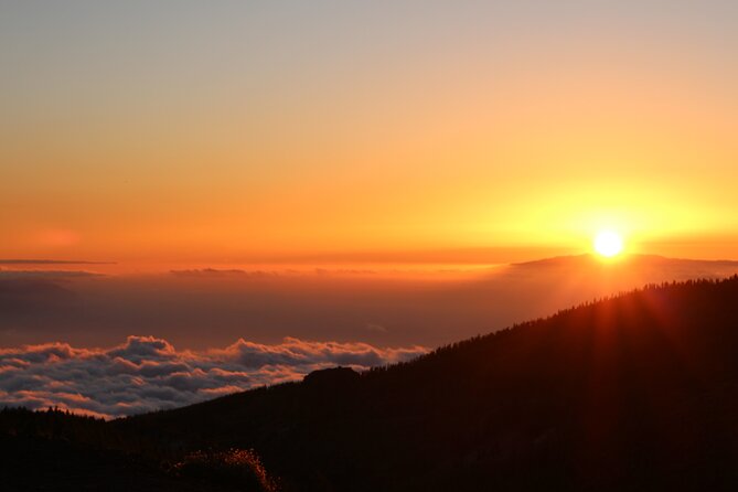 Puerto de la Cruz: Buggy Teide Sunset National Park - Price and Value: What $238.85 Buys You
