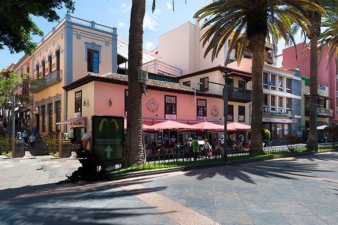 Puerto de la Cruz City Tour with Transfers - Price and value: what $28.59 buys you (and what it doesn’t)