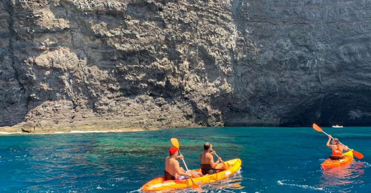 Punta de Teno: Kayak Safari overlooking Los Gigantes Cliffs - Key things to know before you go