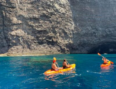 Punta de Teno: Kayak Safari overlooking Los Gigantes Cliffs - Price and value for a 1.5-hour coastal adventure