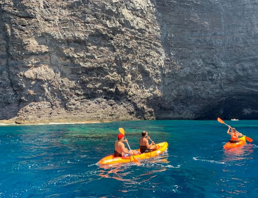 Punta de Teno: Kayak Safari overlooking Los Gigantes Cliffs - Price and value for a 1.5-hour coastal adventure
