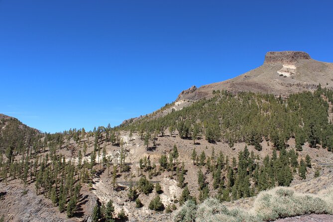 Quad Tour to the Teide National Park (3.5H) - Riding the best of Tenerife: How the guided route is built
