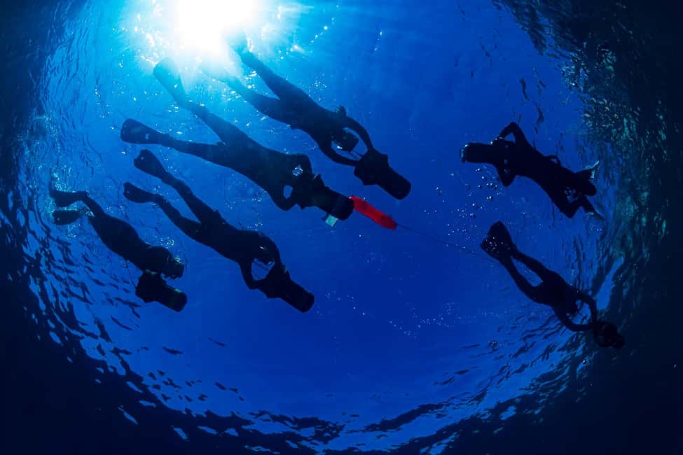 Radazul: Family-Friendly Snorkeling Tour - The swim itself: clear water, an instructor-led route, and real noticing