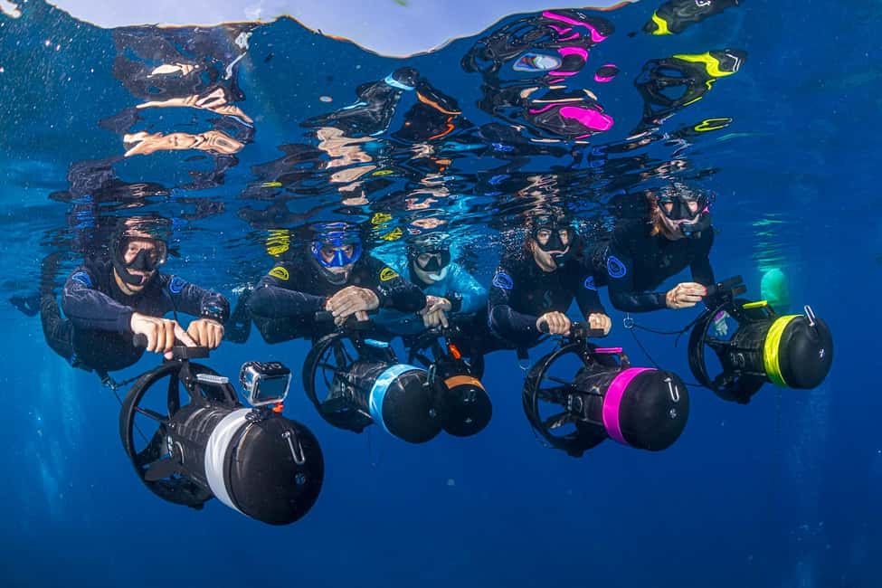 Radazul: Family-Friendly Snorkeling Tour - The 3-hour flow: from briefing to species spotting
