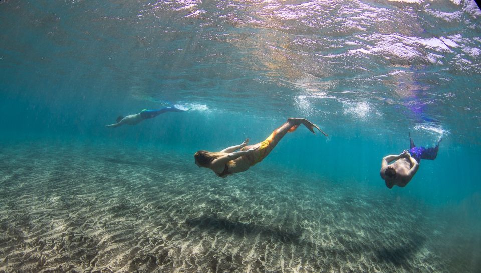 Radazul: Mermaid Experience and Photo Shoot - The Underwater Photo Shoot: Fish, Corals, Sunken Ships, and Posing